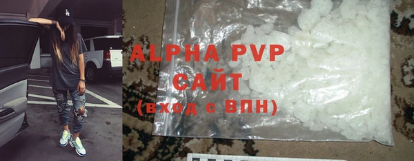 индика Алексин