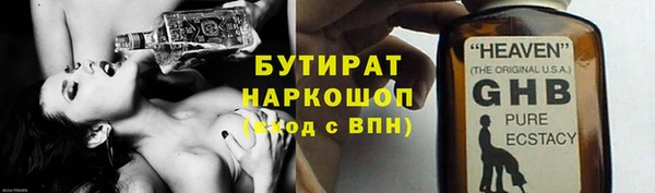 индика Алексин
