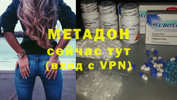индика Алексин