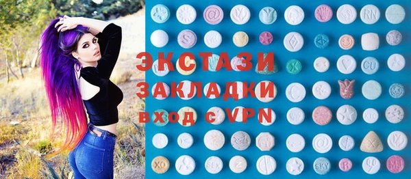 индика Алексин