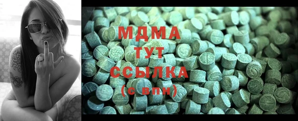 индика Алексин