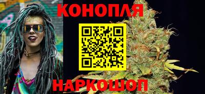 сатива Краснознаменск