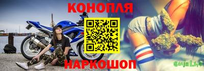сатива Краснознаменск