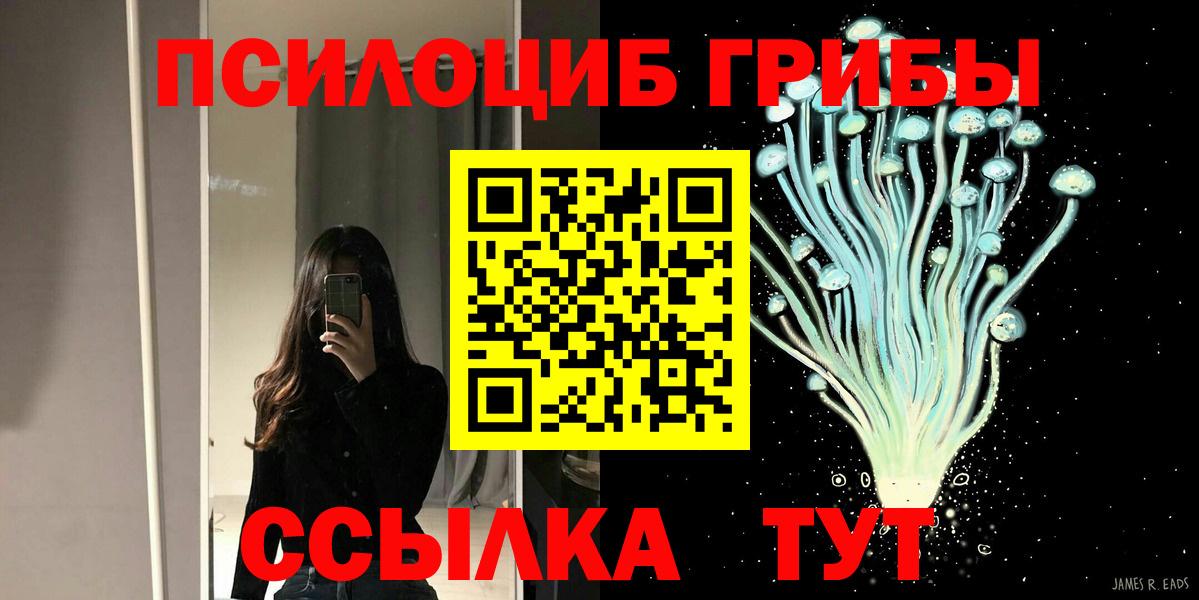 Красноуфимск  Галлюциногенные грибы прущие грибы  Вход с VPN 